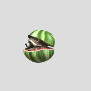 Raccooni Watermelunni - Model thumbnail 2