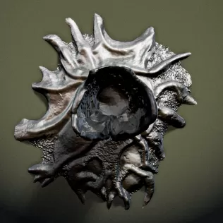 Haunted Skull Tree RoZ - Model thumbnail 6