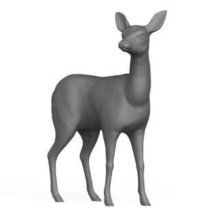 Deer