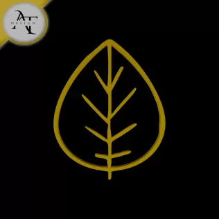 Simple Leaf Symbol - 2D Art