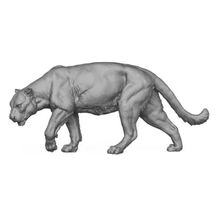Jaguar Walking 3D Print Model - Model thumbnail 3