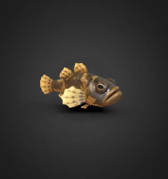 Fish Donko Animal crossing New Horizons - Model preview 1