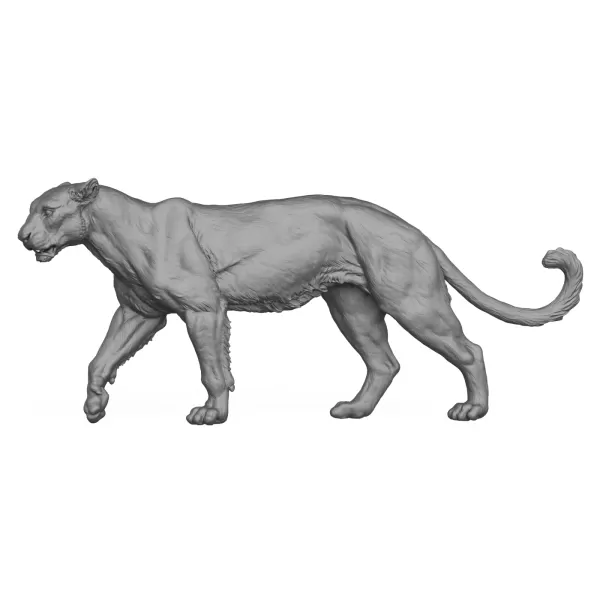 3D Printable Wild Animal Leopard - Model preview 3
