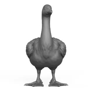 Goose Bird - Model thumbnail 2