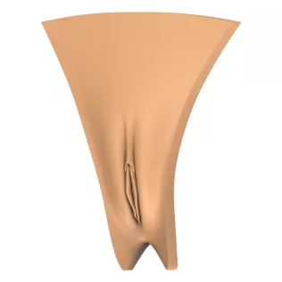 3D Print Ready Vagina Stage Collection - Model thumbnail 2