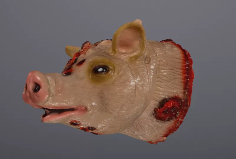 Pig Head Halloween / Birthdays - Model preview 3