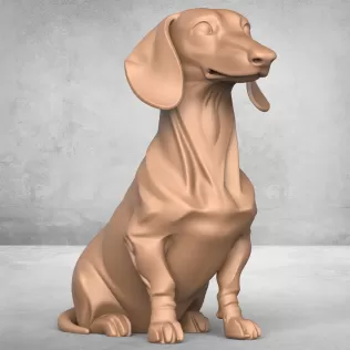 Dachshund Dog