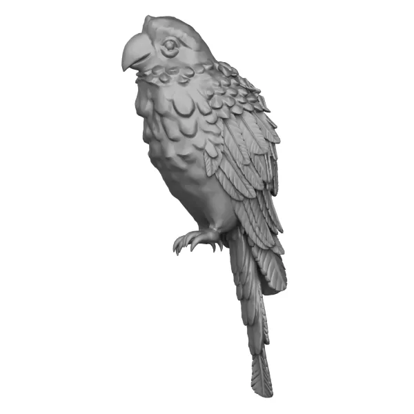 Parrot Bird - Model preview 1