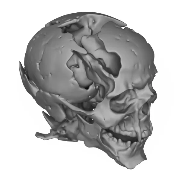 Human Skull 3D Printable Model - Model preview 4