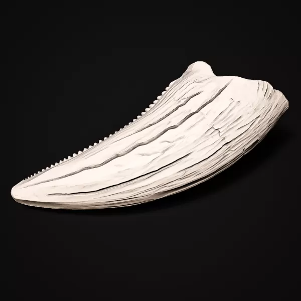 T-Rex Tooth #RoZ - Model preview 9
