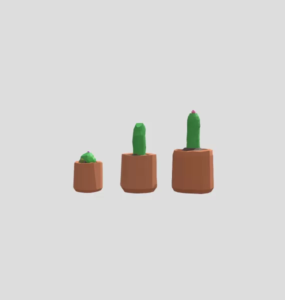 Low Poly Cactus Set 3 Stylized Potted Plants - Model preview 3