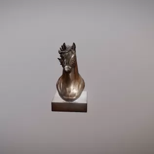 Horse Head - Model thumbnail 2