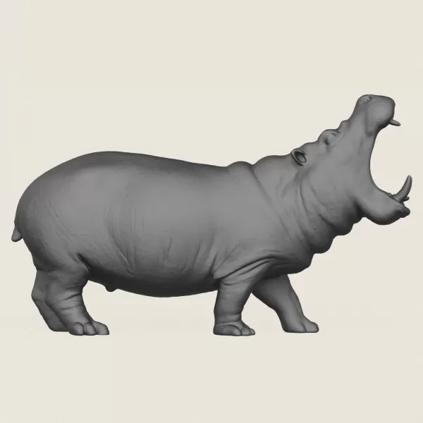 Hippopotamus Print Ready 3D Model - Model preview 3