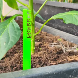 3D Printed Garden Markers STL, Herb and Vegetable Labels 3D Prin - Model thumbnail 5