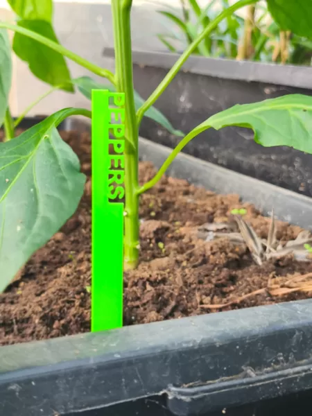 3D Printed Garden Markers STL, Herb and Vegetable Labels 3D Prin - Model preview 5