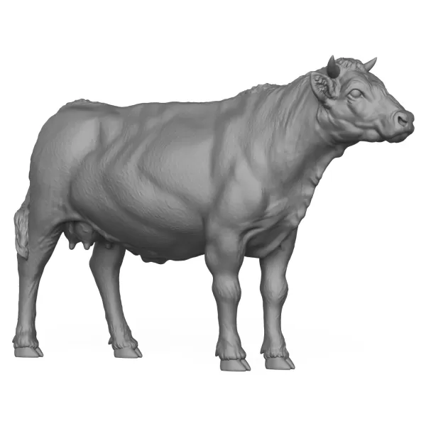 3D Printable Young Cow - Model preview 1