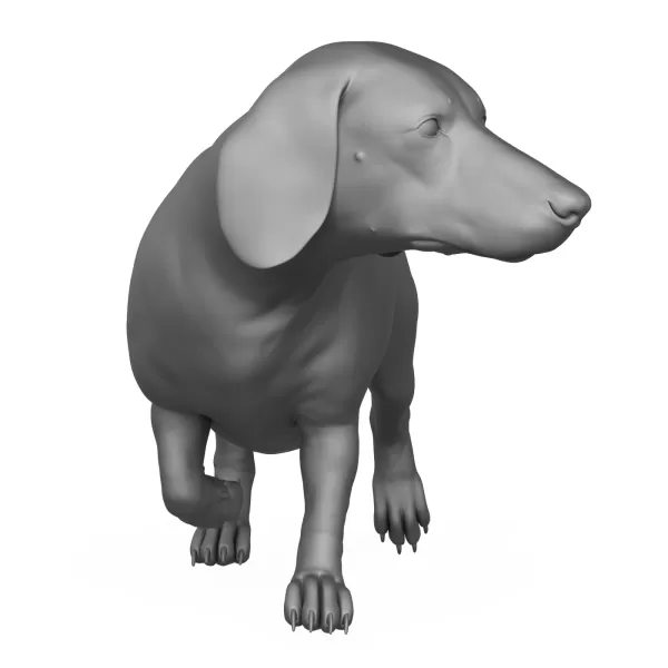 Dachshund Dog 3D Print Model - Model preview 2
