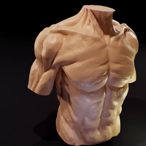 Muscular male torso candle - Model preview 2
