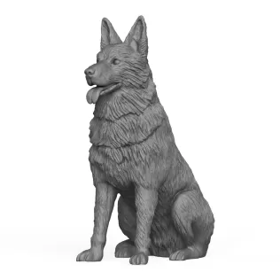 German Shepherd Dog