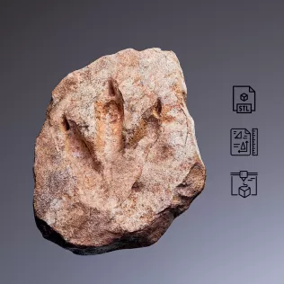 Dinosaur Footprint Fossil #RoZ - Model thumbnail 1