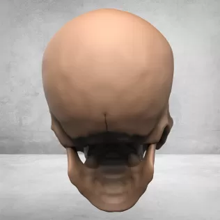 Monster Man Skull - Model thumbnail 2