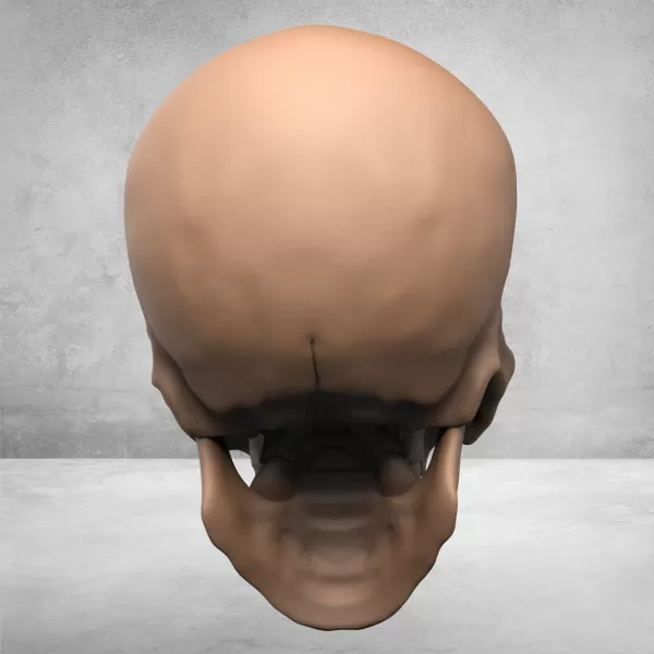 Monster Man Skull - Model preview 2