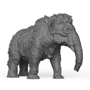 Baby Mammoth Elephant
