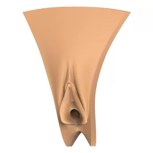 3D Print Ready Vagina Stage Collection - Model thumbnail 6