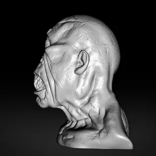 Cyclops #RoZ - Model thumbnail 3