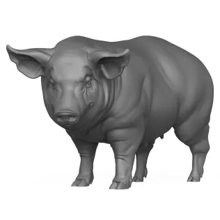 3D Printable Pig Hog Pet Animal - Model thumbnail 2