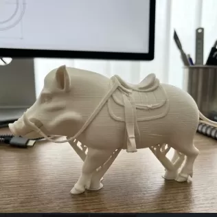 wild-boar-for-riding
