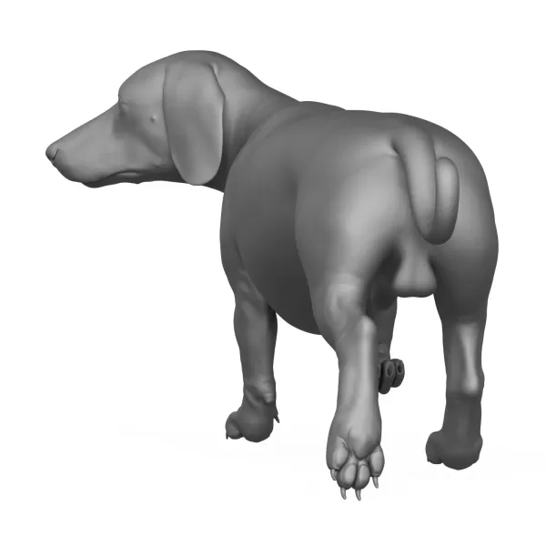 Dachshund Dog 3D Print Model - Model preview 4
