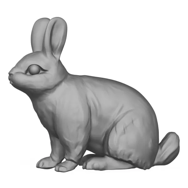 Rabbit - Model preview 3