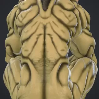 Orc sitzend - Model thumbnail 3