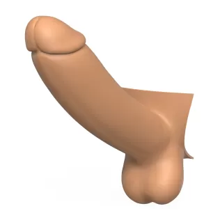 3D Print Ready Penis Erection Stages - Model thumbnail 6