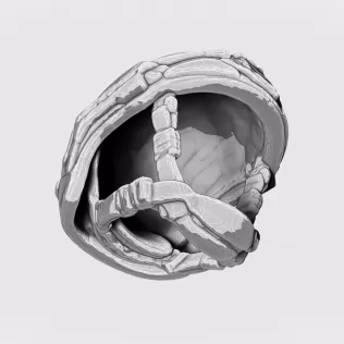 Ops Core FAST Helmet #RoZ - Model thumbnail 6