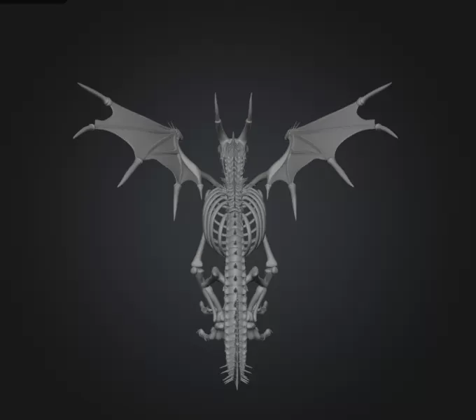 Bone Dragon - Model preview 3