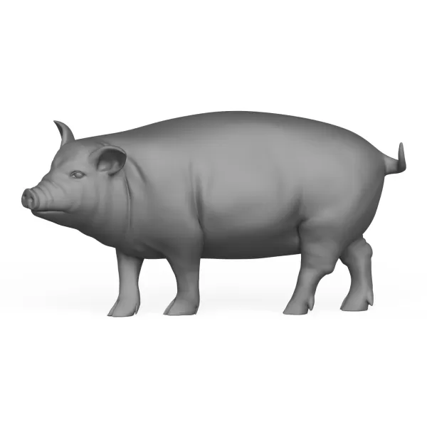 3D Printable Pig Standing Pose - Model preview 3