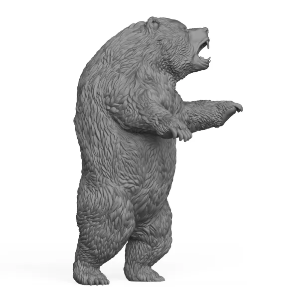 Wild Bear - Model preview 3