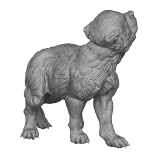 Fantasy Monster Creature