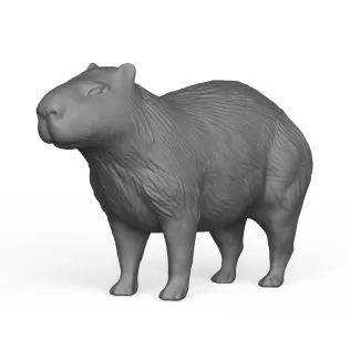 Capybara
