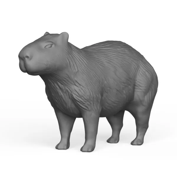 Capybara - Model preview 1