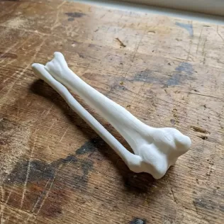 Anatomically Accurate Human Arm & Hand Bone Set from bone scan-3 - Model thumbnail 3