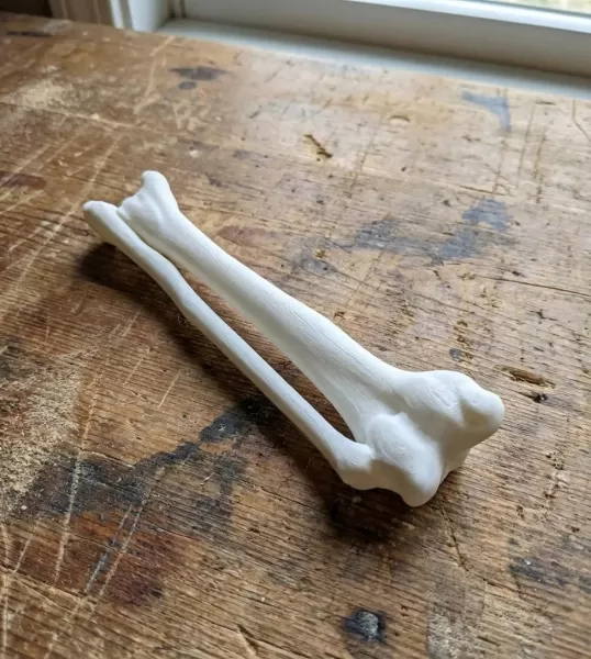Anatomically Accurate Human Arm & Hand Bone Set from bone scan-3 - Model preview 3