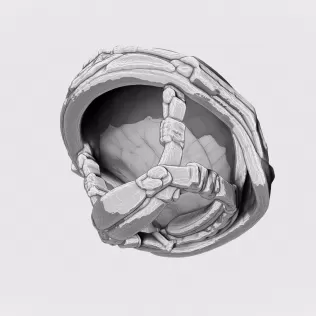 Ops Core FAST Helmet #RoZ - Model thumbnail 5