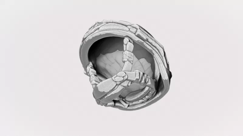 Ops Core FAST Helmet #RoZ - Model preview 5