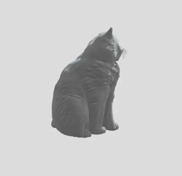 Detailed Cat - Model preview 4