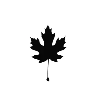 Canada Maple Leaf 3D Model - Model thumbnail 2