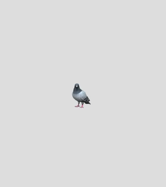 pigeon - Model preview 1