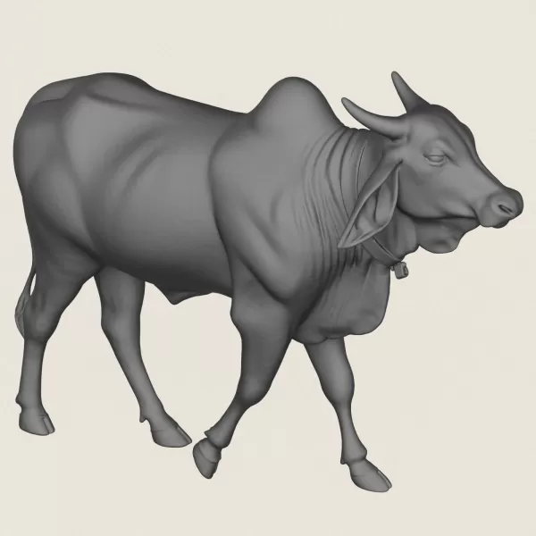 Indian Ox Print Ready 3D Model - Model preview 4